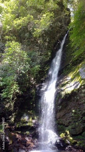 waterfall in the forest