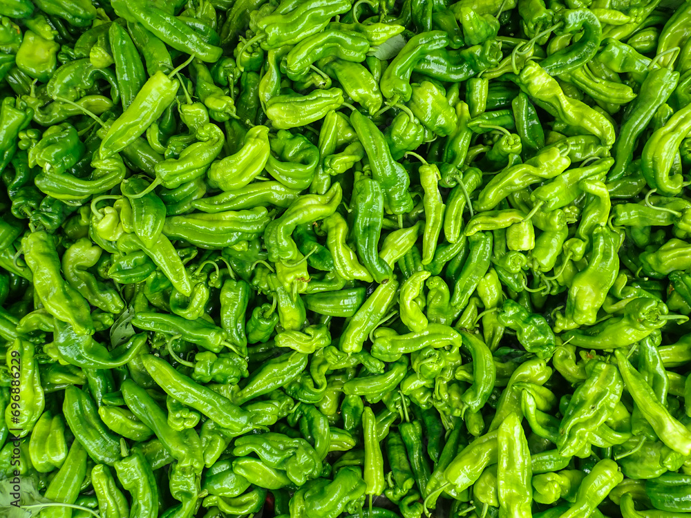 pepper, bell, bell pepper, plant, green, capsicum, vegetable, peppers, sweet, green bell pepper, green bell pepper plant, agriculture, organic, harvest, garden, paprika, healthy, fresh, food, leaf. pepper, bell, bell pepper, plant, green, capsicum, vegetable, peppers, sweet, green bell pepper, green bell pepper plant, agriculture, organic, harvest, garden, paprika, healthy, fresh, food, leaf.