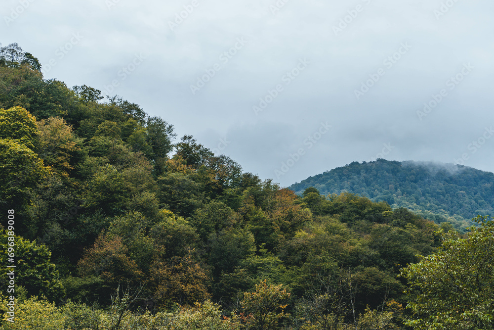 view over beautiful autumn forest on rainy day with low clouds in nature armenia dilijan park