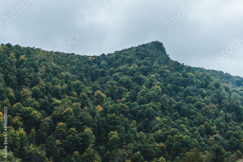 view of mountain peak over beautiful autumn forest on rainy day with low clouds in nature armenia dilijan park