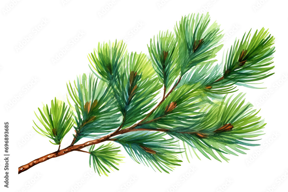 Festive Foliage. Christmas and New Year Vibes with Drawn Pine Branch on White Background Festive Foliage. Christmas and New Year Vibes with Drawn Pine Branch on White Background