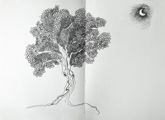 Acrylglasbilder Surrealismus Beautiful graphic tree and moon in black and white  © vali_111