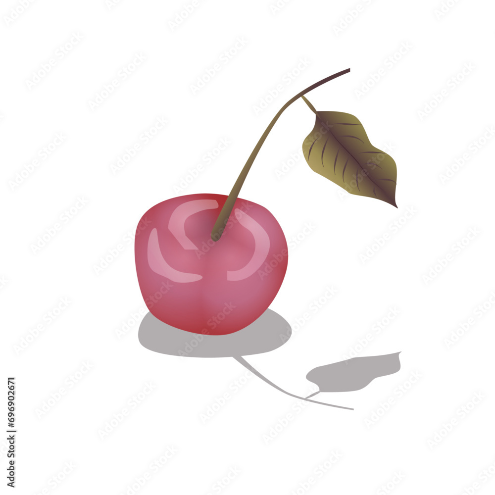 Fresh and Tasty Red Cherry illustration Fresh and Tasty Red Cherry illustration