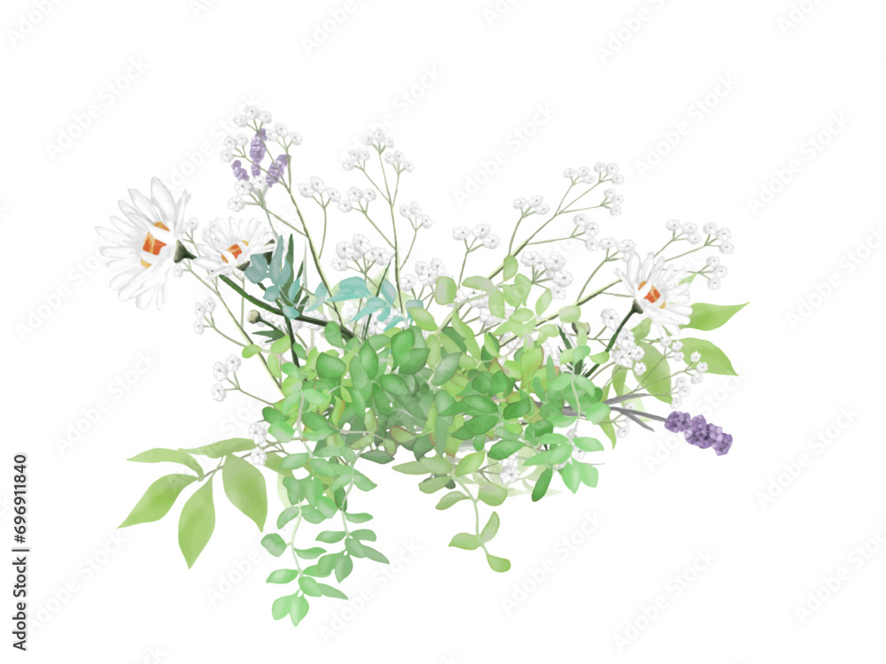 初夏の花と植物のポストカード