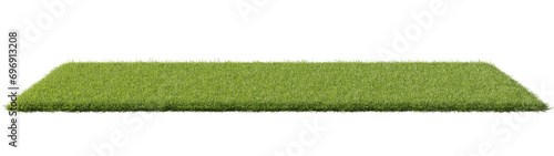 Yoga mat grass screw 3D illustration