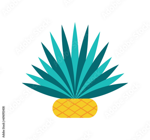 mexico mezcal agave plant