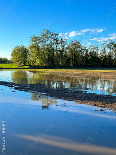 Reflection on a rural field, trees and water