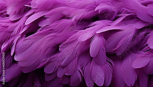 Purple feathers texture background featuring intricate digital art of detailed bird feathers