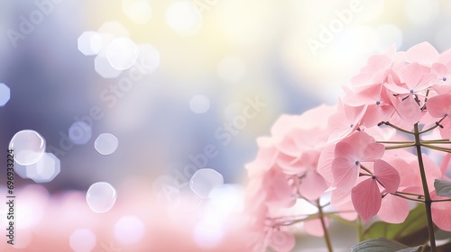 Pink hydrangea on right side with magical bokeh effect background, text space on left © Ilja