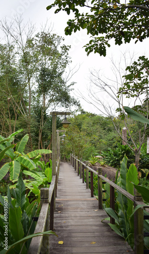 South East Asian-style resort wooden house or wooden hut in forest in Muang Xai  Laos PDR  2024