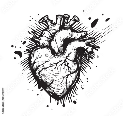 Human heart hand drawn sketch Vector illustration