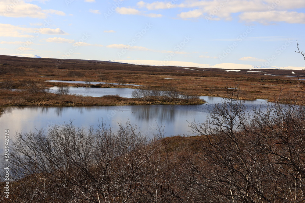 Mývatn is a shallow lake located in an area of active volcanism in northern Iceland, near the Krafla volcano