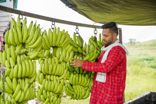 A man exporting banana branches while cutting them