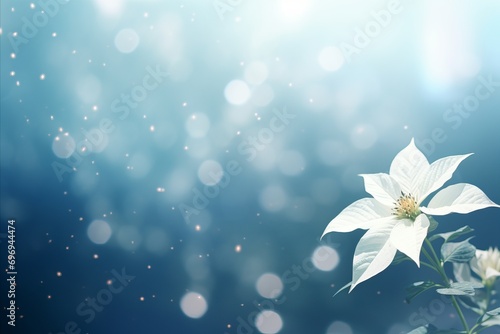 Beautiful white poinsettia on right with magical bokeh background and text space on left