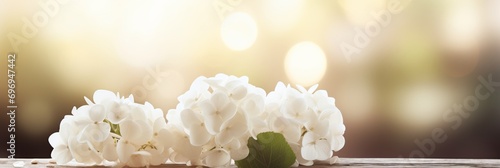 White hydrangea blossom on magical bokeh background with copy space for text placement photo