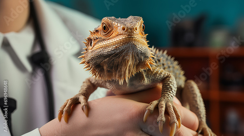 A reptile is being held by a veterinarian in an animal hospital veterinary. A close-up realistic picture of an exotic pet.