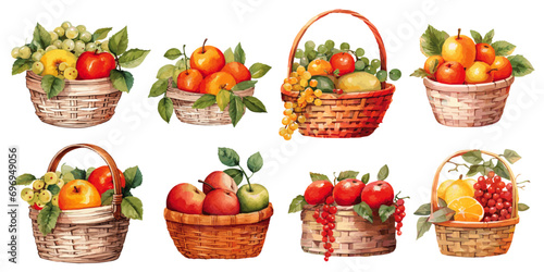 basket with lots of fruits watercolor vector
