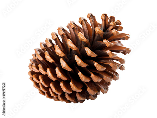 Pine Cone, isolated on a transparent or white background