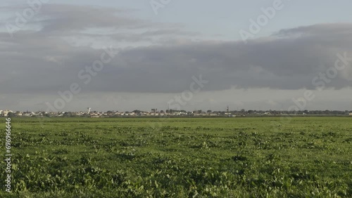 View of the marshes in Vila Franca de Xira with Flamingos. photo