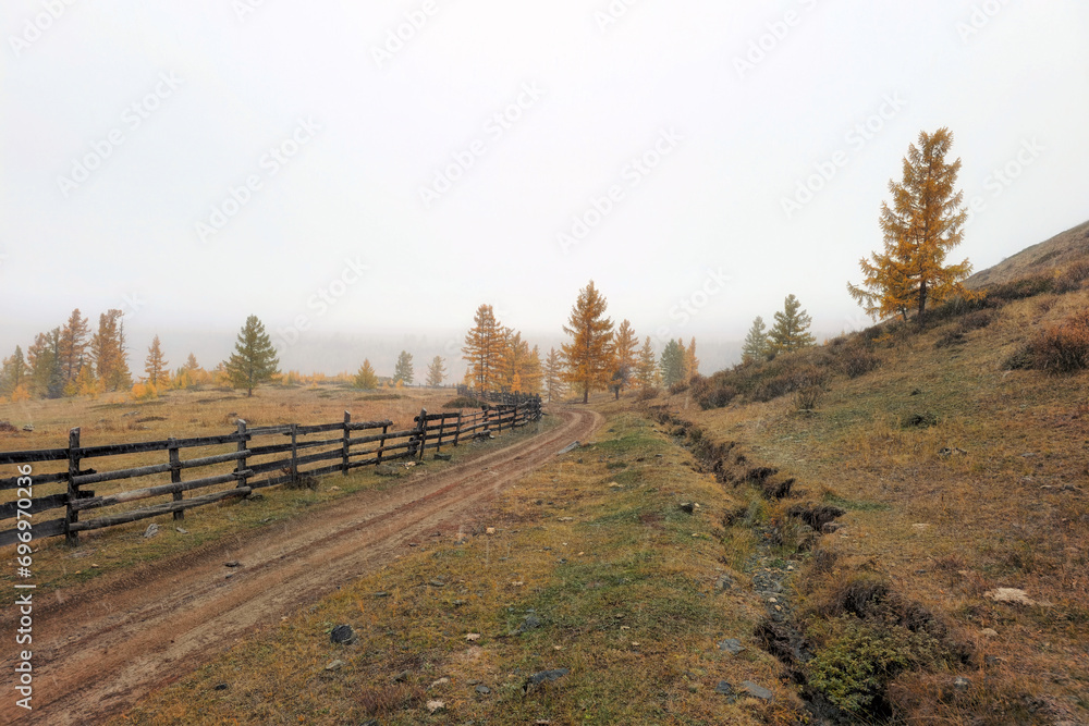 Real rural life in a remote area of Altai. Rural road washed out by rains. Autumn dirt road, impassable mud through the village.