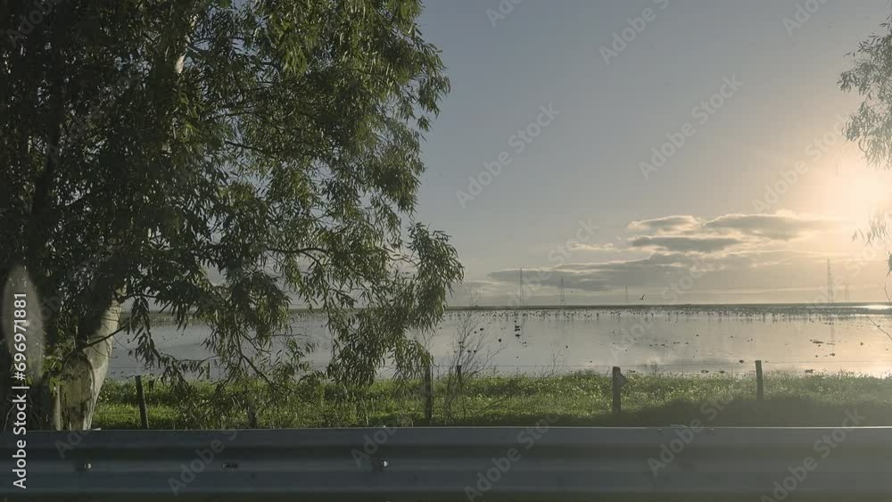 View of the marshes in Portugal with the sunset. View of the marshes in Portugal with the sunset.