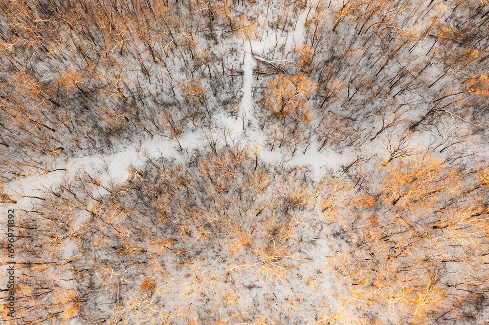 Sunset Lit Winter Woods With Trails From Above
