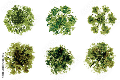 vector top view of trees and bushes vector illustrations set. landscape elements for garden, park or forest, plants	
