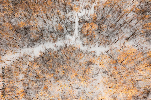 Obraz na płótnie Sunset Lit Winter Woods With Trails From Above w salonie