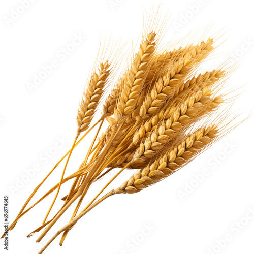 wheat