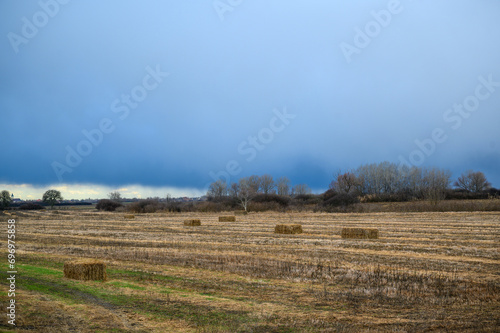 Agricultural field and bundles of dry grass