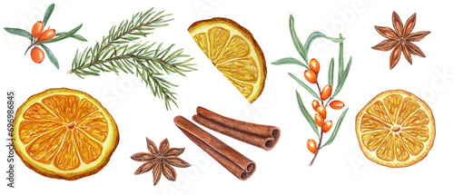 Set of dry orange slice, star anise, sea buckthorn berry, cinnamons and spruce branches. Ingredients for winter warming drink. Citrus, berries, evergreen, spices. Watercolor illustration on white. photo