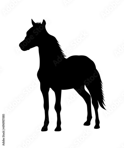 Silhouette of a standing horse  A set of high quality horse silhouette vector