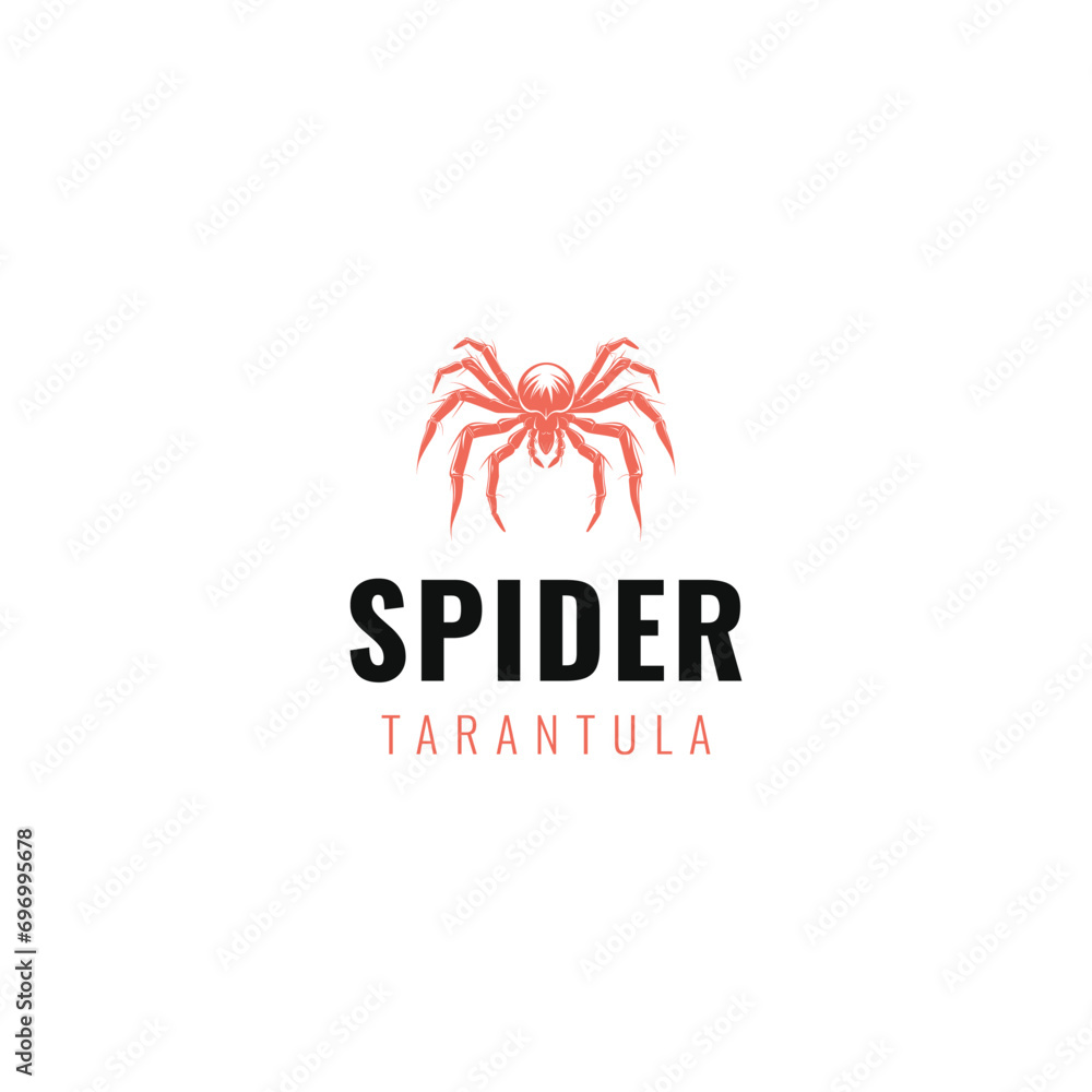 spider logo design spider logo design