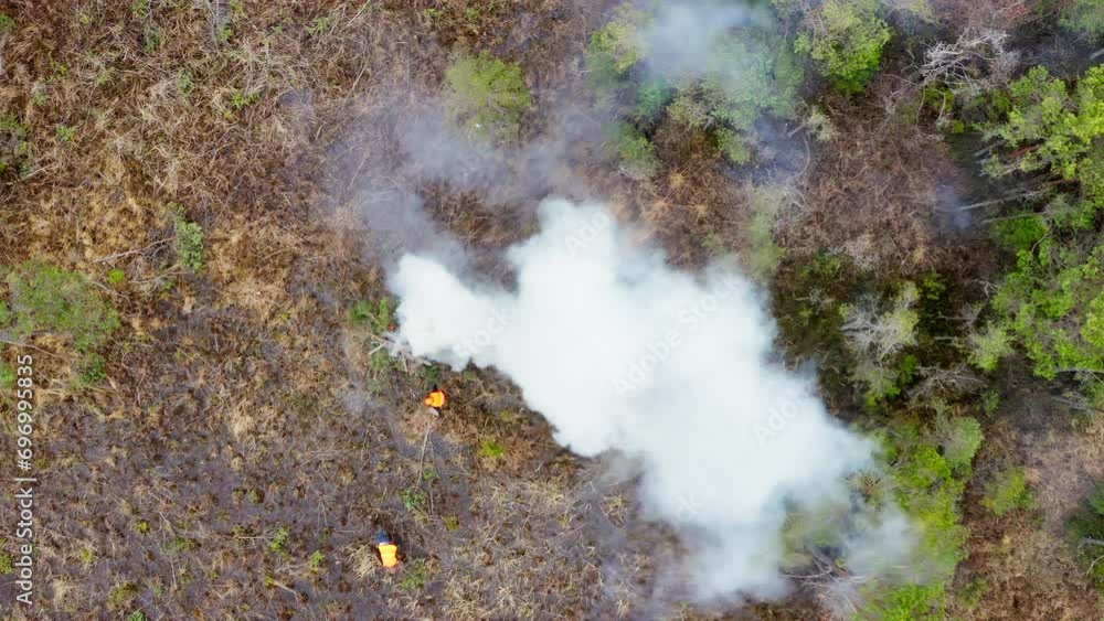 Aerial view. Thick smoke rises above the trees. Management of protected natural areas by burning bushes. Burning a bonfire. A swamp overgrown with pine trees. 4k, ProRes video. Aerial view. Thick smoke rises above the trees. Management of protected natural areas by burning bushes. Burning a bonfire. A swamp overgrown with pine trees. 4k, ProRes video.