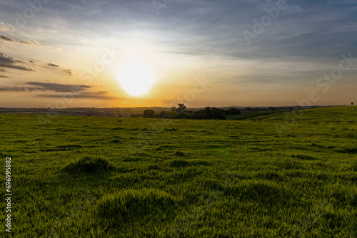 pôr-do-sol no campo Limeira/SP photo