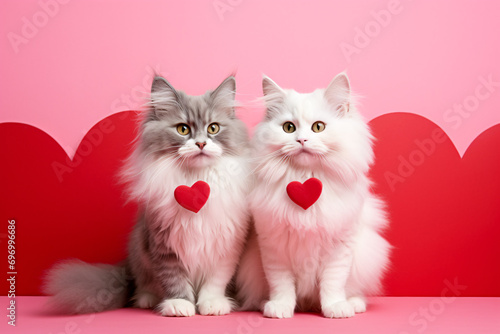 Two cats with red Valentine heart in front of red and pink studio background © Firn