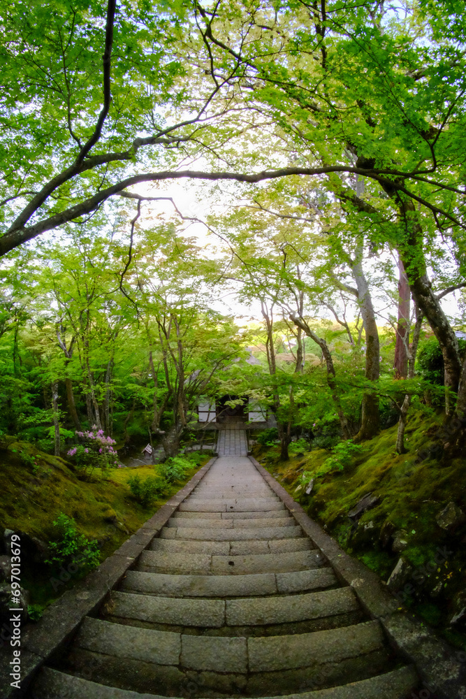 常寂光寺の新緑の美しい境内の風景