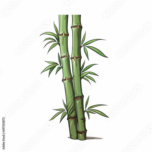 Bamboo flat vector illustration. Bamboo cartoon hand drawing isolated vector illustration.