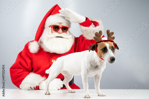 Portrait of santa claus in sunglasses and dog jack russell terrier in rudolf reindeer ears on a white background.  © Михаил Решетников