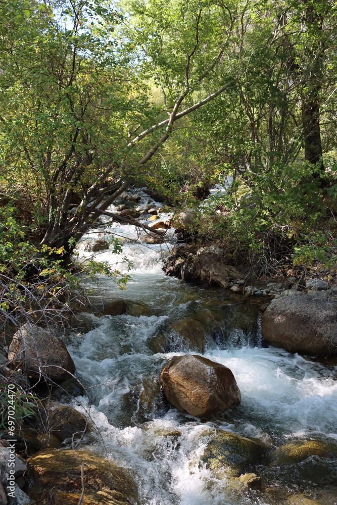 Late summer rains increase flowing cascades of this charismatic creek in the Eastern Sierra Nevada. Late summer rains increase flowing cascades of this charismatic creek in the Eastern Sierra Nevada.