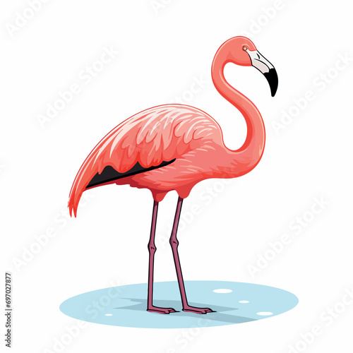 Flamingo flat vector illustration. Flamingo cartoon hand drawing isolated vector illustration.