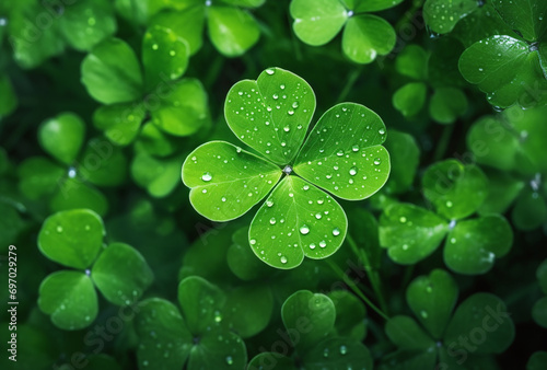 Green background with four-leaved shamrocks