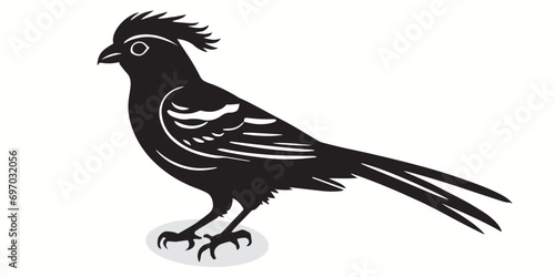 Quetzal silhouettes and icons. Black flat color simple elegant white background Quetzal birds vector and illustration.