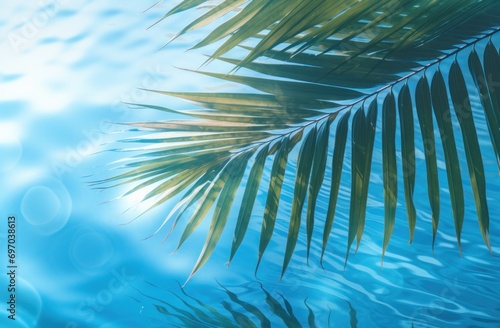 palm leaf on blue tropical background © olegganko