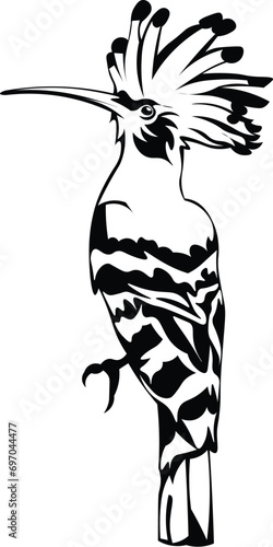 Cartoon Black and White Isolated Illustration Vector Of A Woodpecker Bird On A Branch