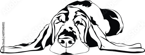 Cartoon Black and White Isolated Illustration Vector Of A Pet Bloodhound Puppy Dog Sleeping