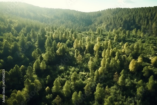 Aerial view of a forest in the Carpathian Mountains  Ukraine