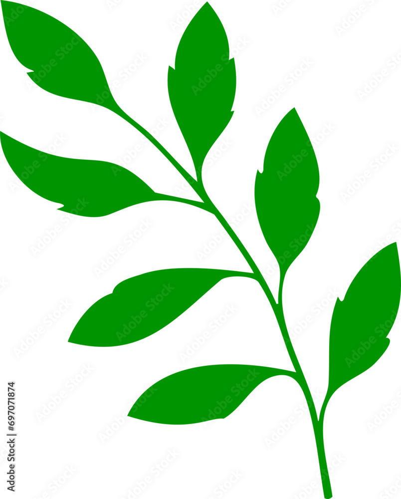 Green leaf isolated on transparent background, ready for element or retouch design.