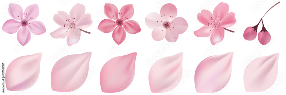 桜　花　春　アイコン	