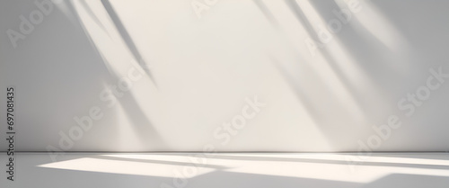 Monochrome Harmony: Abstract Sunlit Shadows on a Smooth Surface | Minimal Template for Elegant Mockups and Graphic Overlays